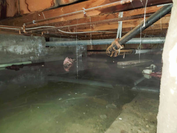 Best Fire Damage Restoration  in Airport, CA