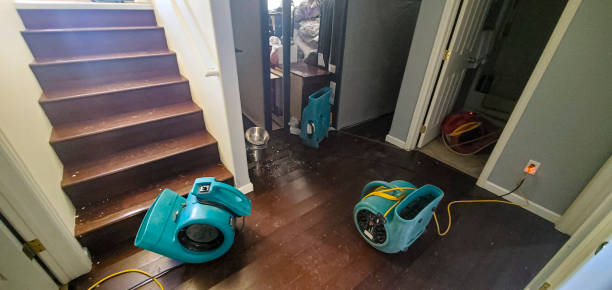 Best Water damage restoration near me  in Airport, CA