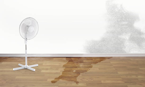 Best Local water damage restoration  in Airport, CA
